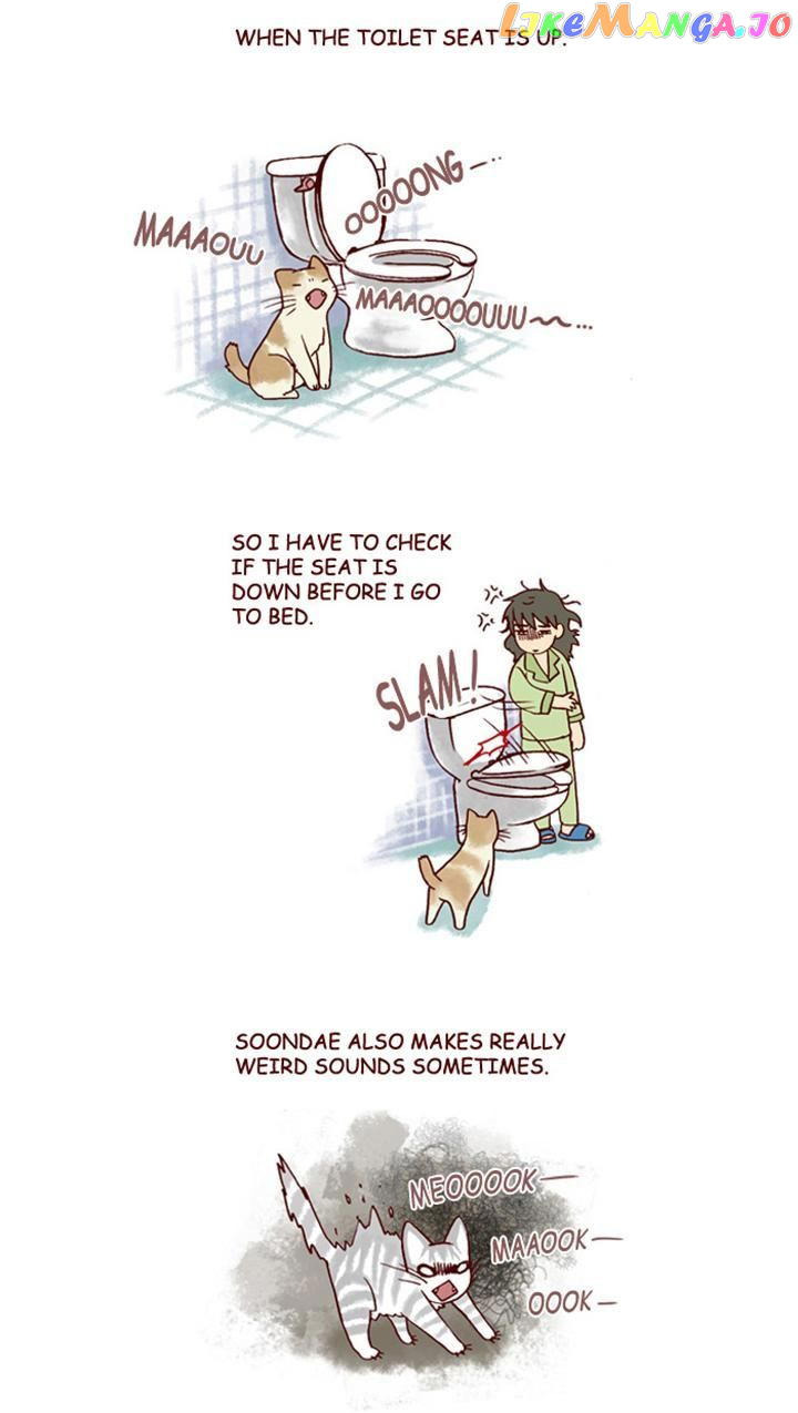 My Young Cat And My Old Dog chapter 144 - page 2