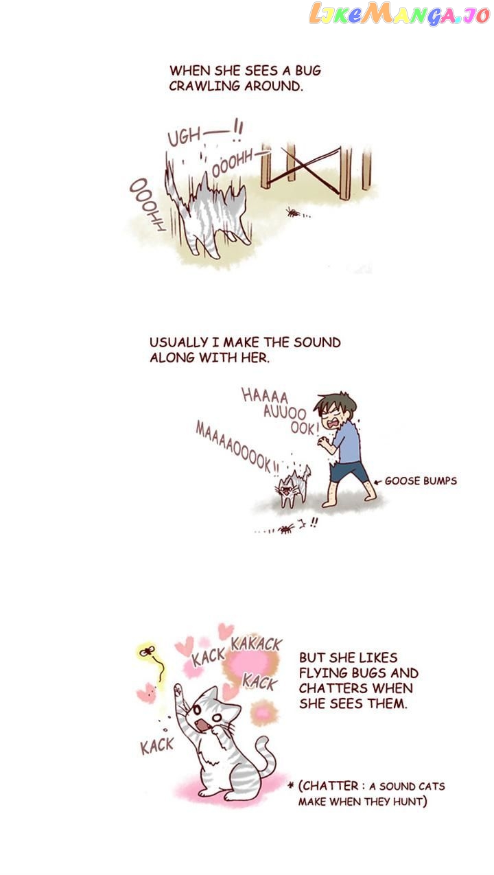 My Young Cat And My Old Dog chapter 144 - page 3