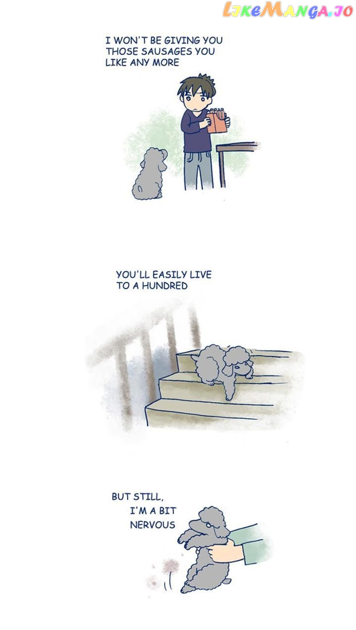 My Young Cat And My Old Dog chapter 145 - page 2