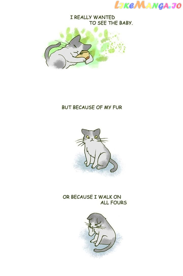 My Young Cat And My Old Dog chapter 149 - page 3