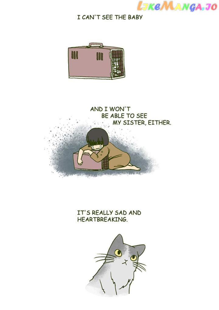 My Young Cat And My Old Dog chapter 149 - page 4