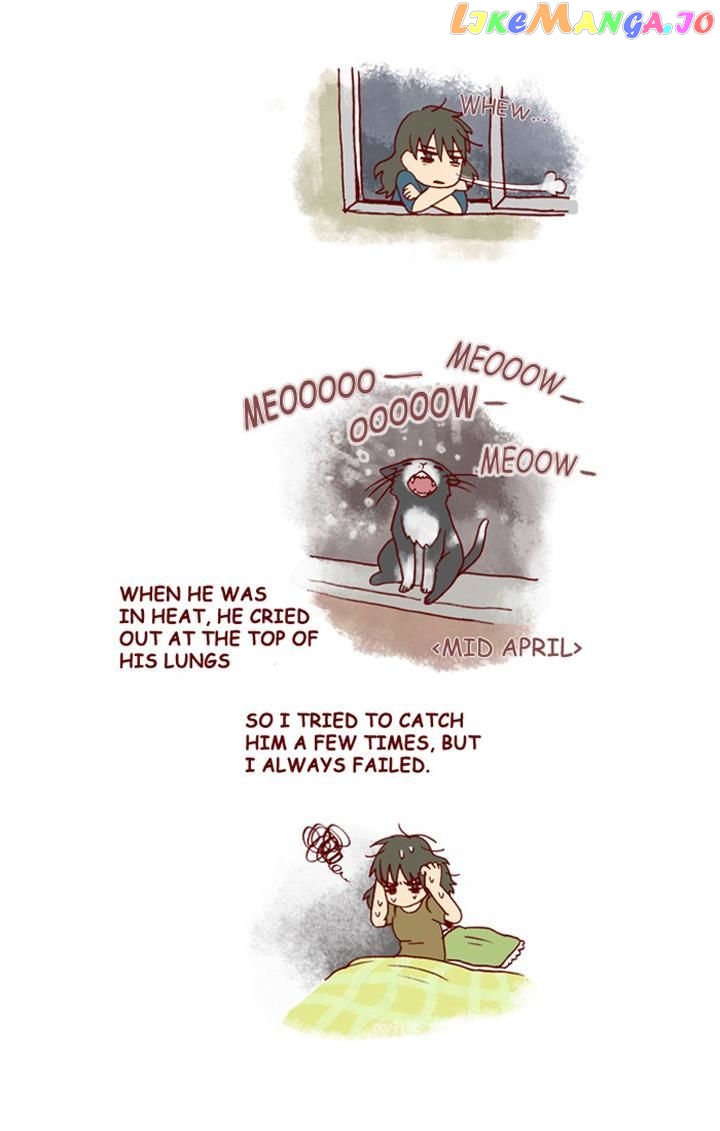 My Young Cat And My Old Dog chapter 151 - page 3