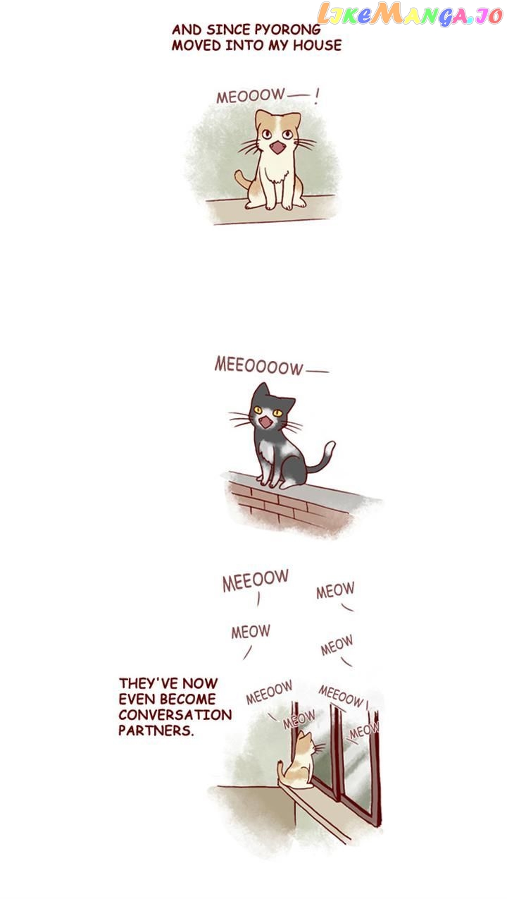 My Young Cat And My Old Dog chapter 151 - page 4