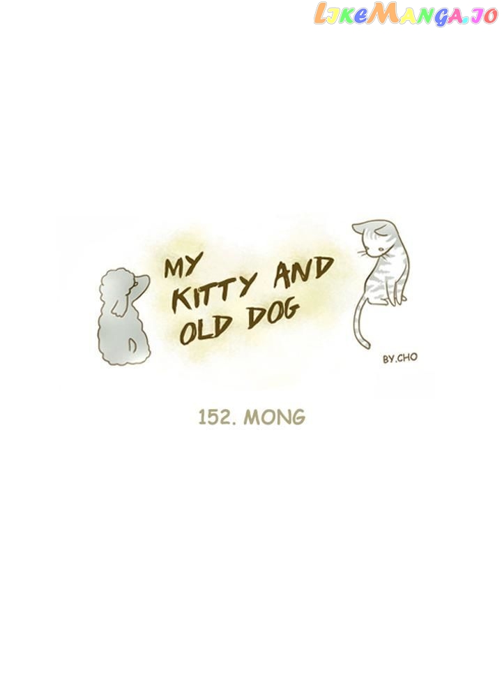 My Young Cat And My Old Dog chapter 152 - page 1