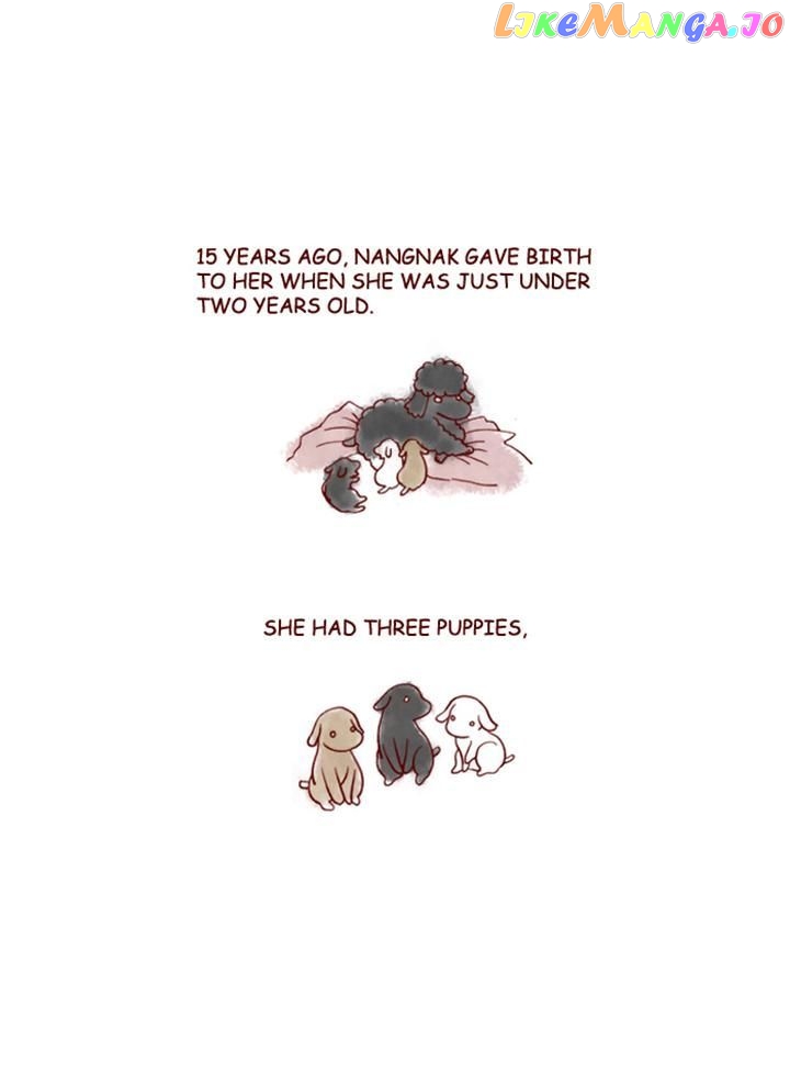 My Young Cat And My Old Dog chapter 152 - page 3