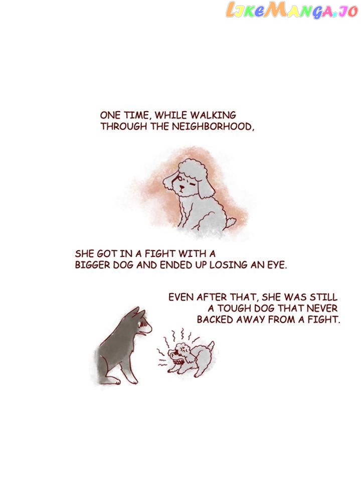My Young Cat And My Old Dog chapter 152 - page 9