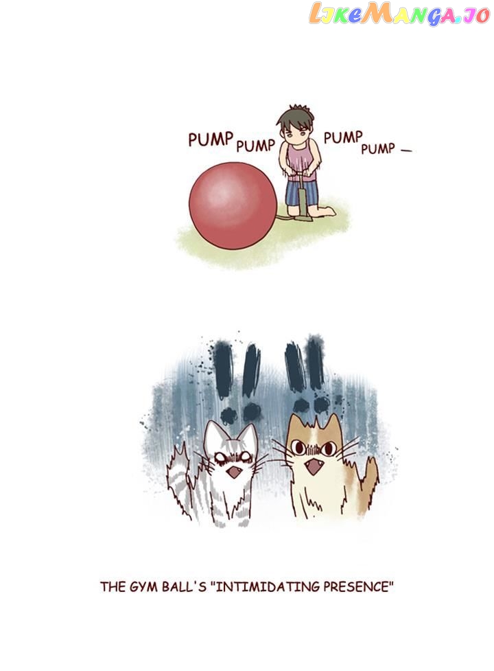 My Young Cat And My Old Dog chapter 153 - page 5