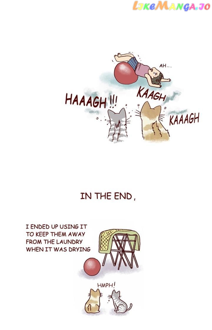 My Young Cat And My Old Dog chapter 153 - page 7