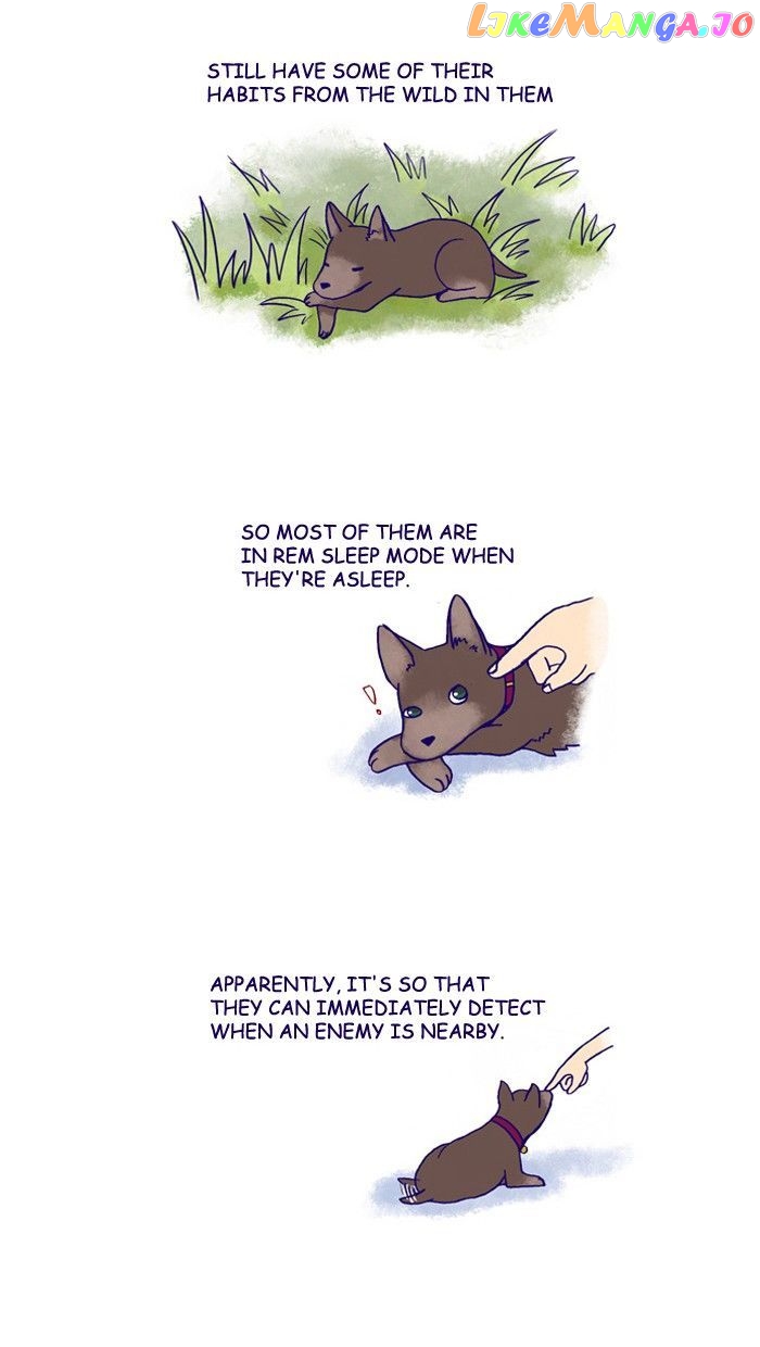 My Young Cat And My Old Dog chapter 156 - page 2