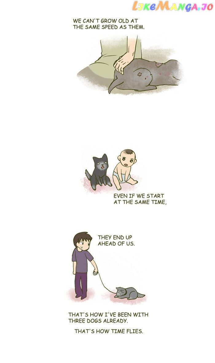 My Young Cat And My Old Dog chapter 157 - page 2