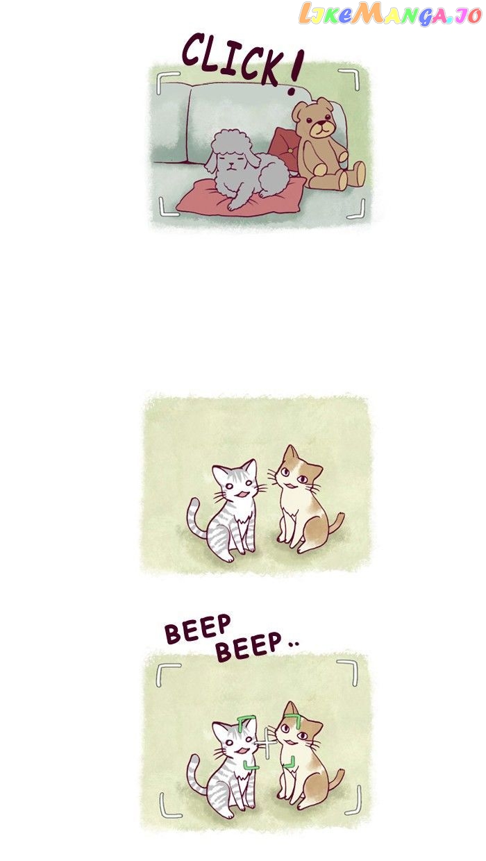 My Young Cat And My Old Dog chapter 160 - page 2