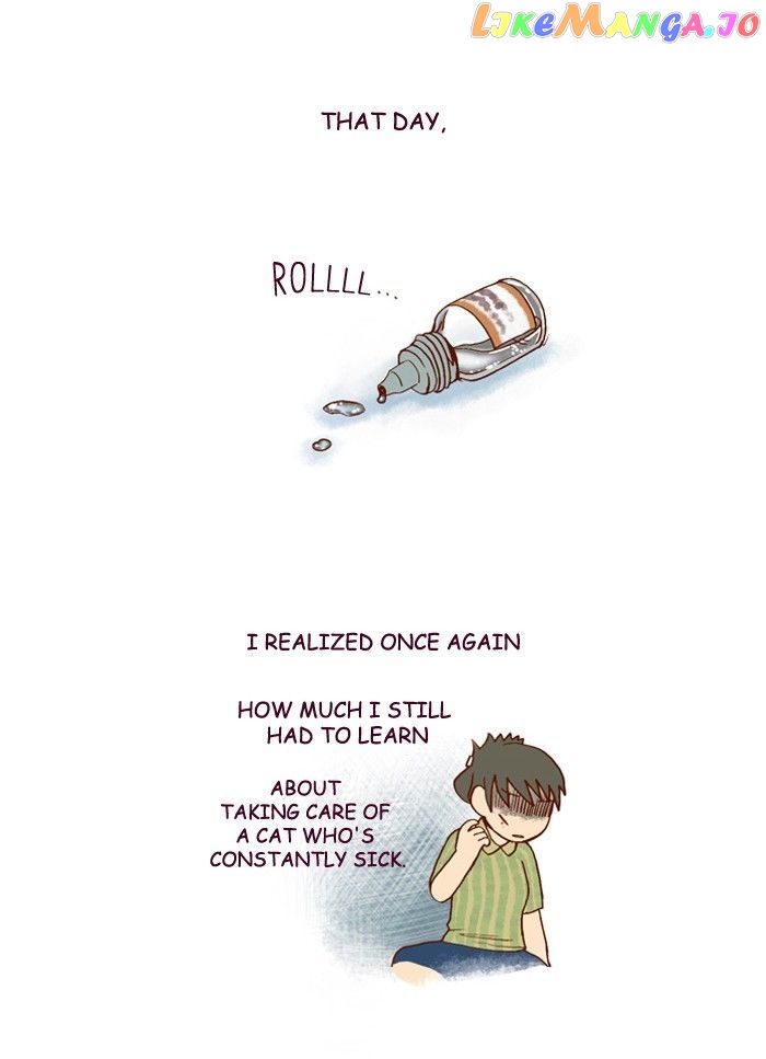 My Young Cat And My Old Dog chapter 161 - page 3