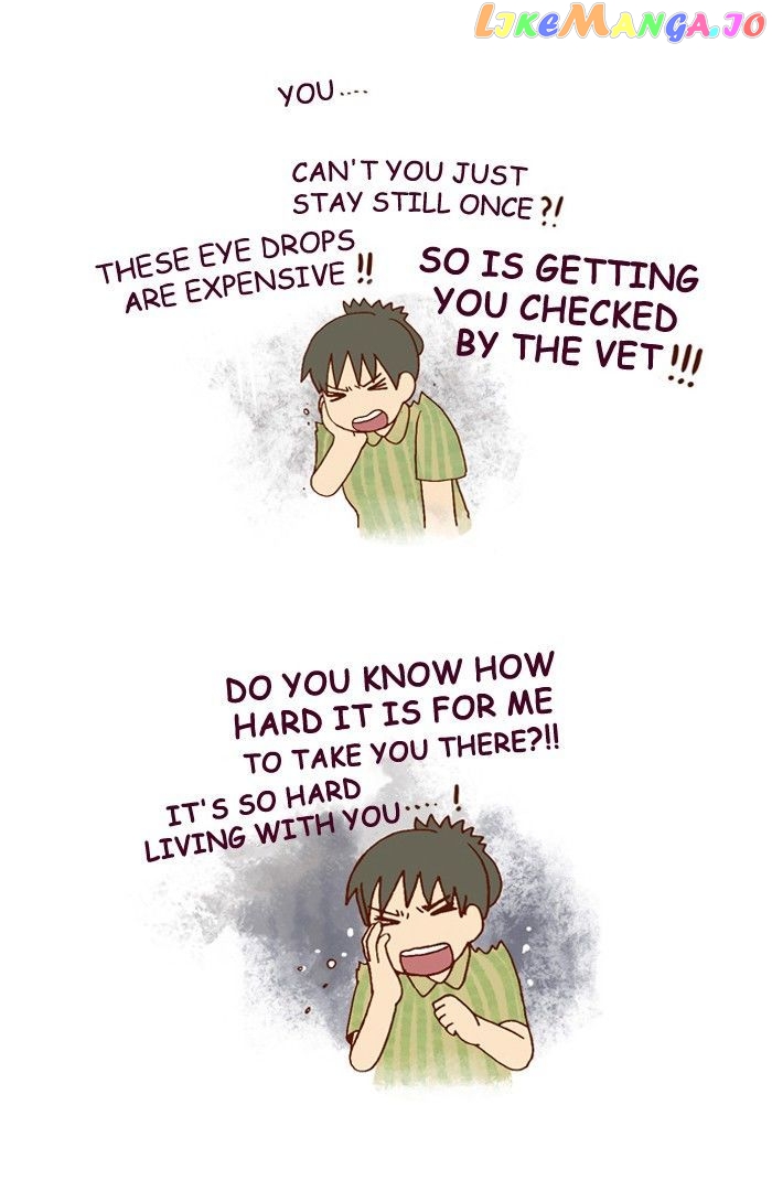 My Young Cat And My Old Dog chapter 161 - page 4