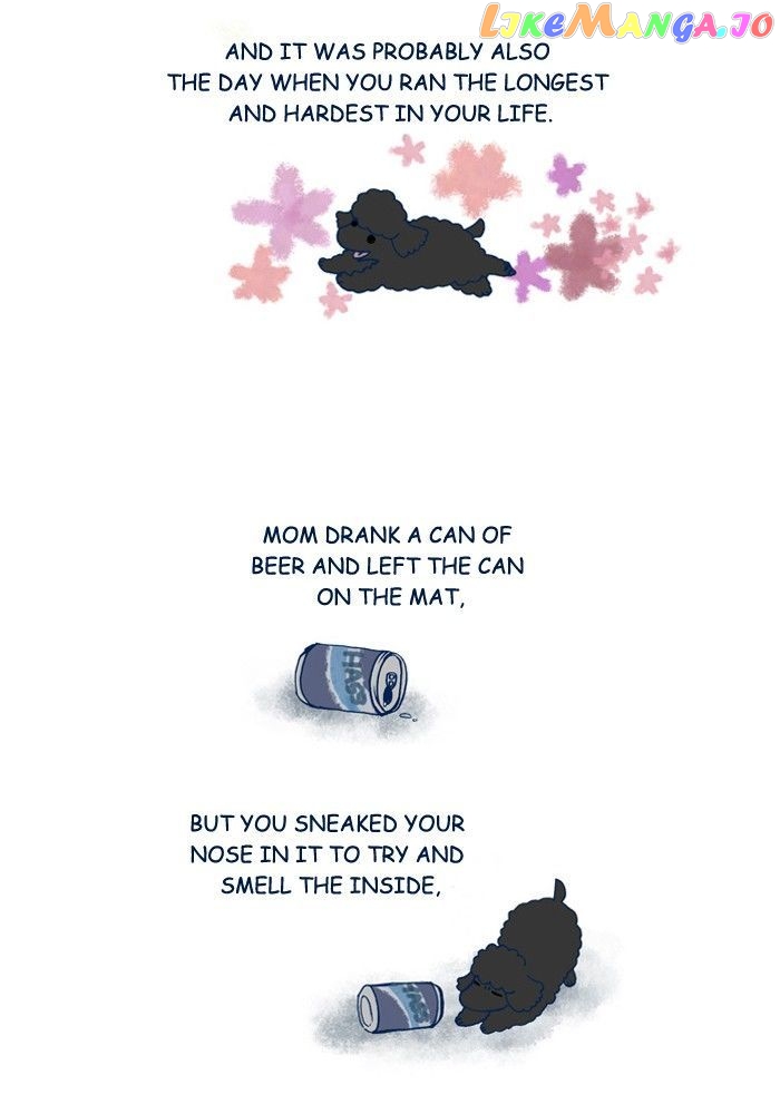 My Young Cat And My Old Dog chapter 162 - page 2