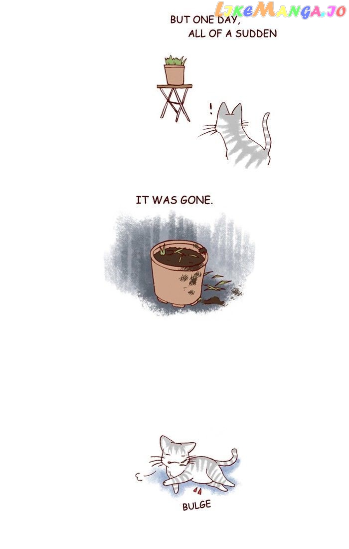 My Young Cat And My Old Dog chapter 163 - page 2