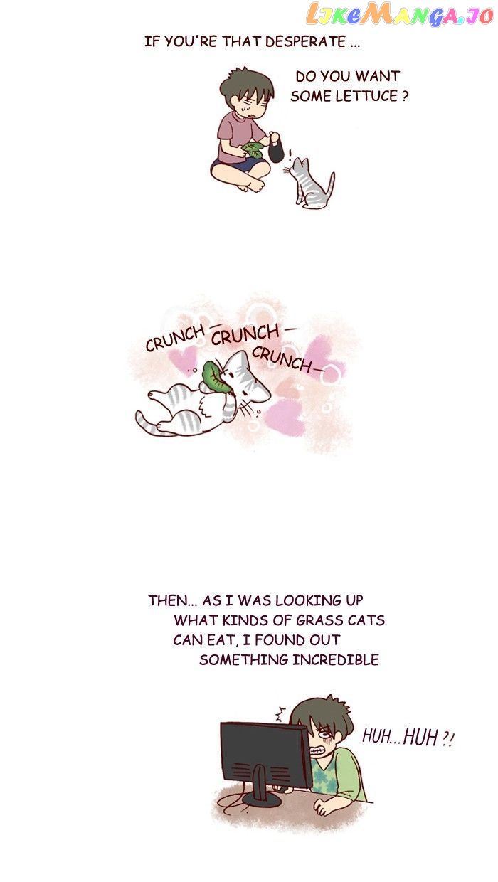My Young Cat And My Old Dog chapter 163 - page 5