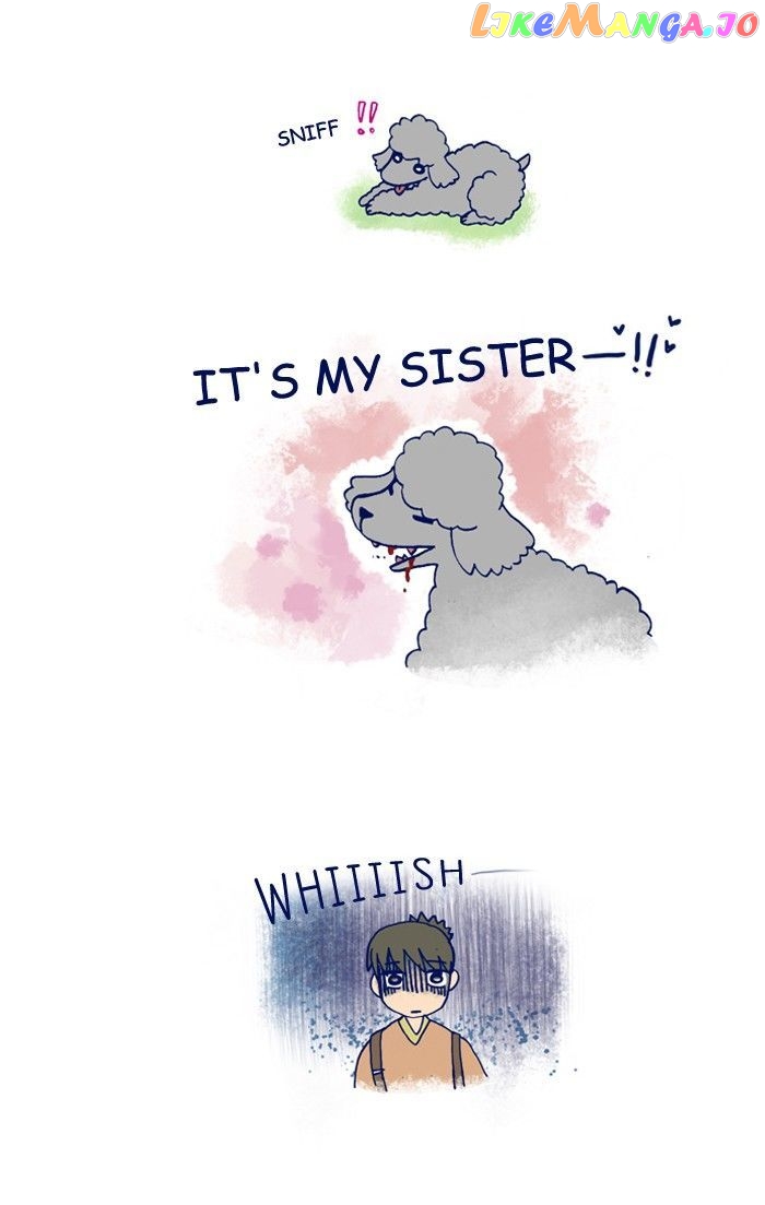 My Young Cat And My Old Dog chapter 165 - page 2