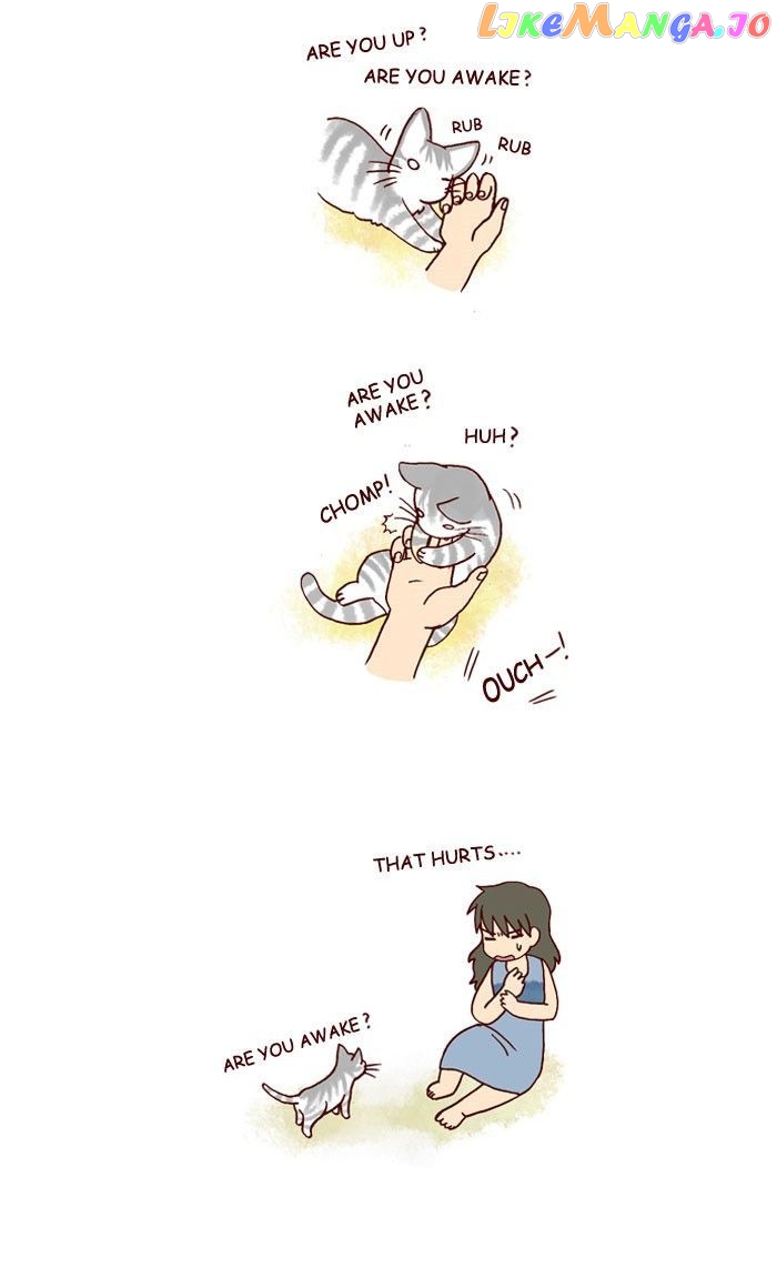 My Young Cat And My Old Dog chapter 169 - page 2