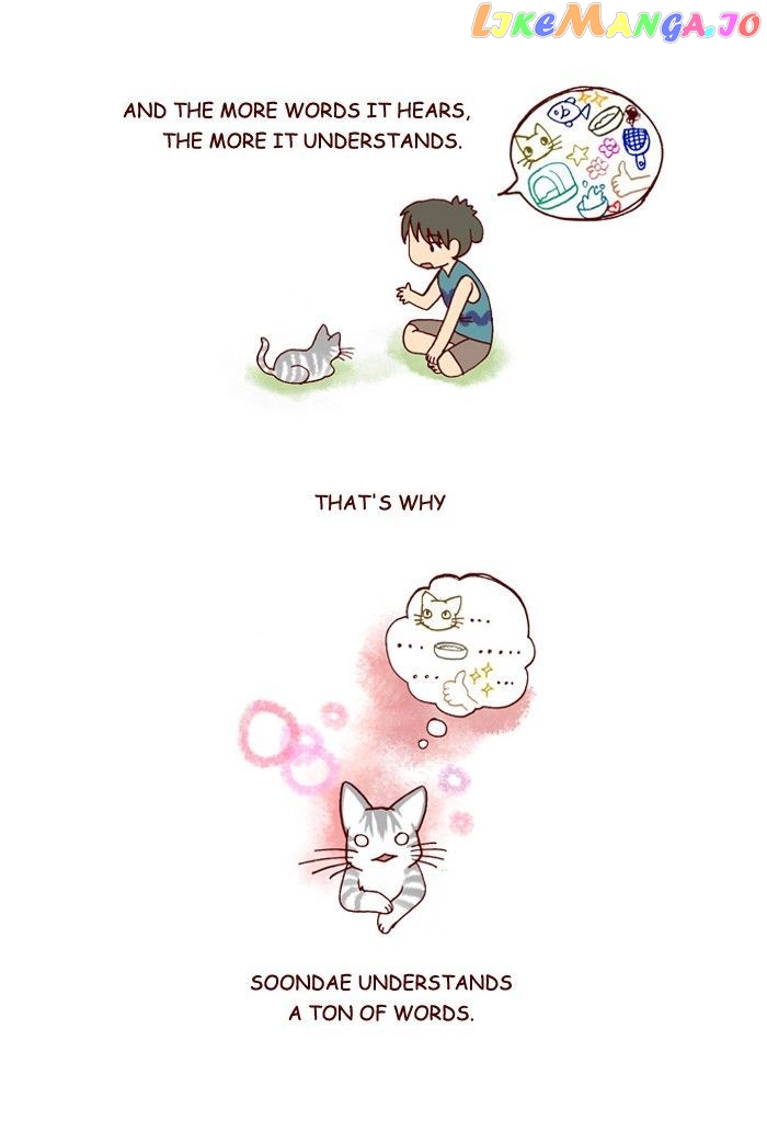 My Young Cat And My Old Dog chapter 172 - page 2