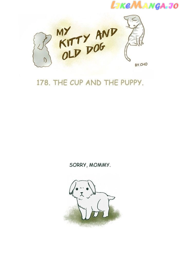 My Young Cat And My Old Dog chapter 178 - page 1