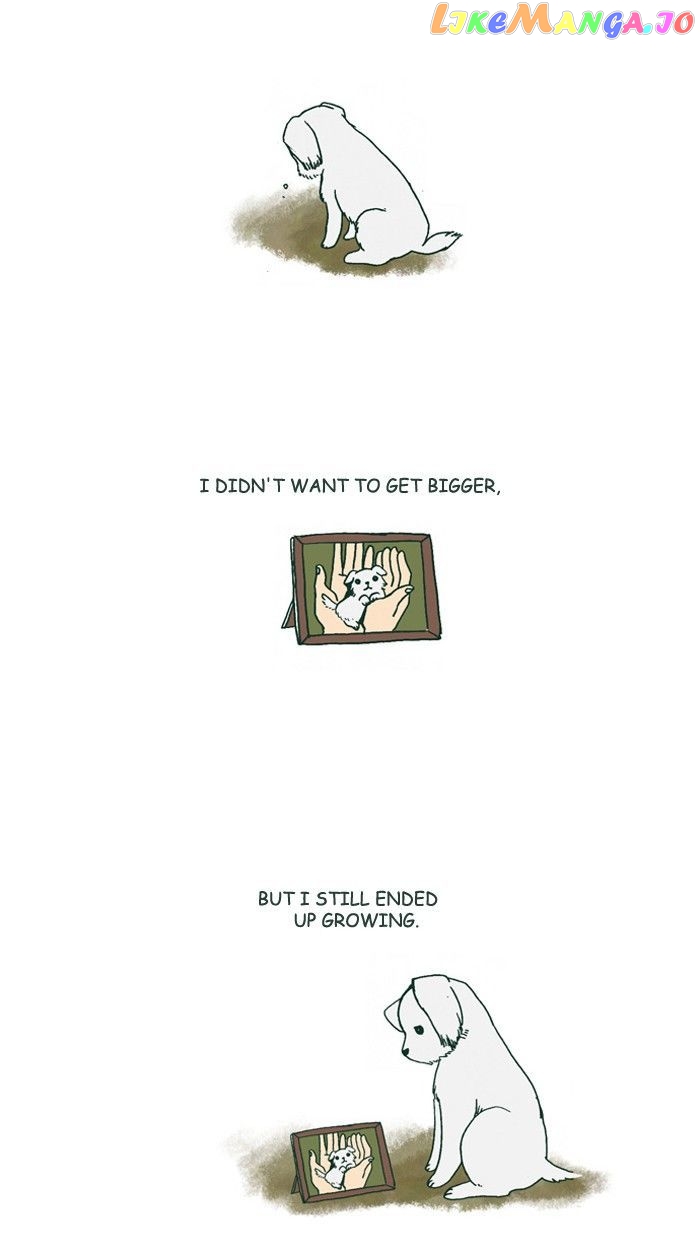 My Young Cat And My Old Dog chapter 178 - page 2