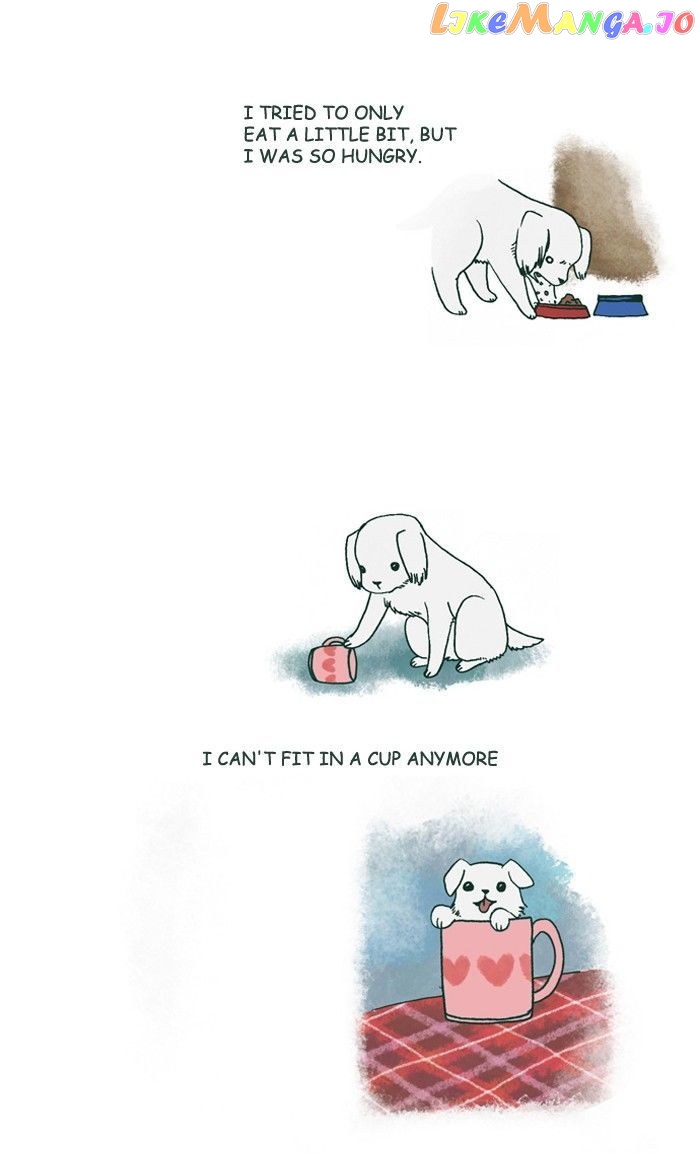 My Young Cat And My Old Dog chapter 178 - page 3