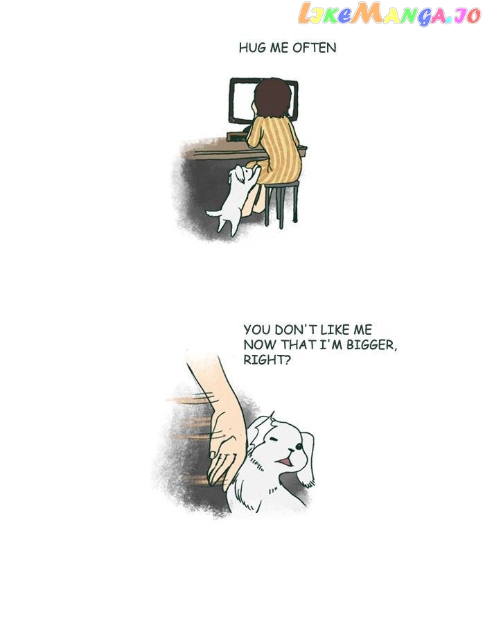 My Young Cat And My Old Dog chapter 178 - page 5