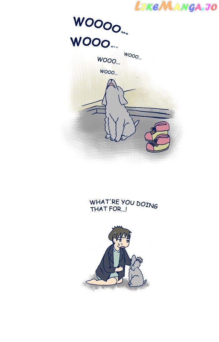 My Young Cat And My Old Dog chapter 179 - page 4