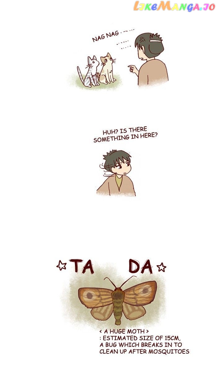 My Young Cat And My Old Dog chapter 180 - page 3