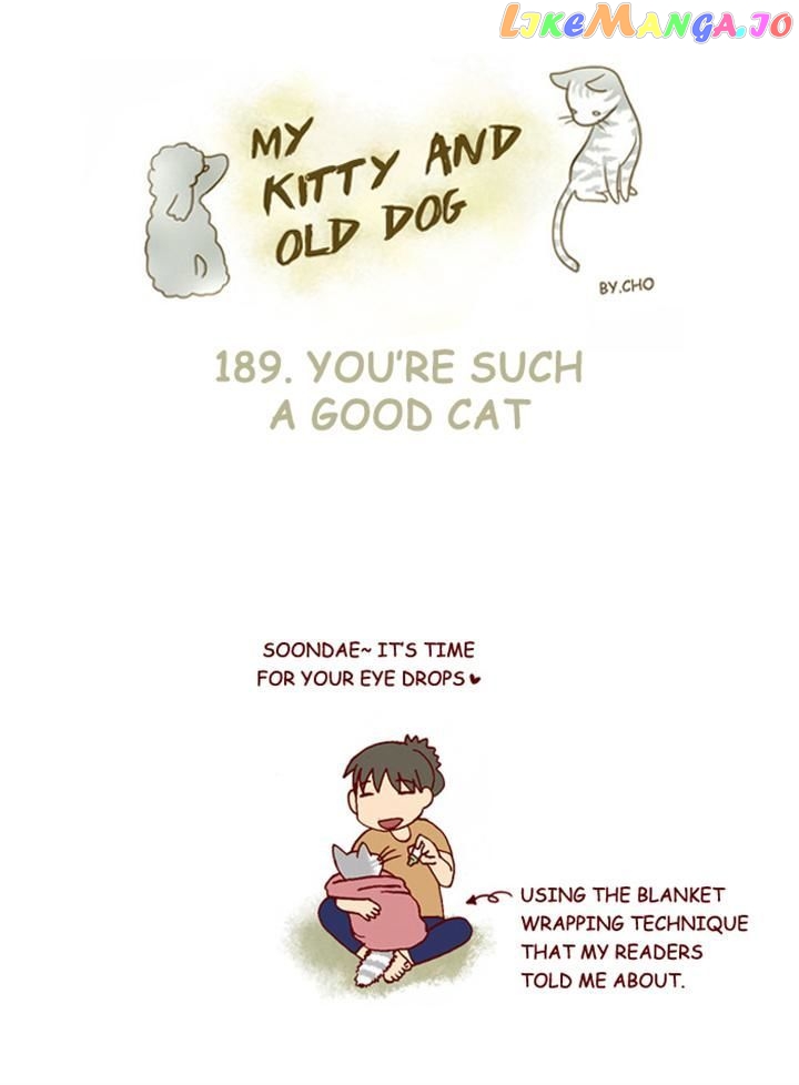 My Young Cat And My Old Dog chapter 189 - page 1