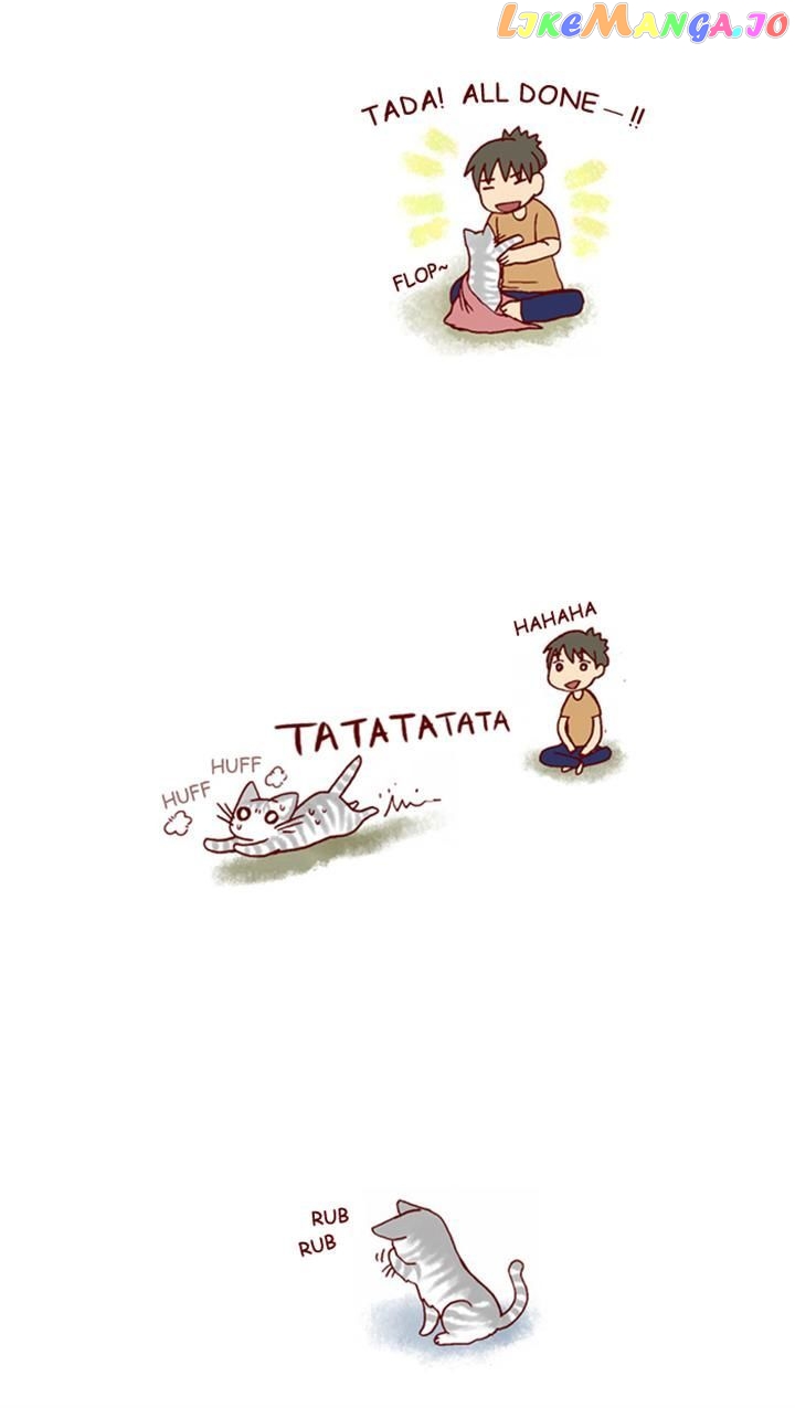 My Young Cat And My Old Dog chapter 189 - page 3