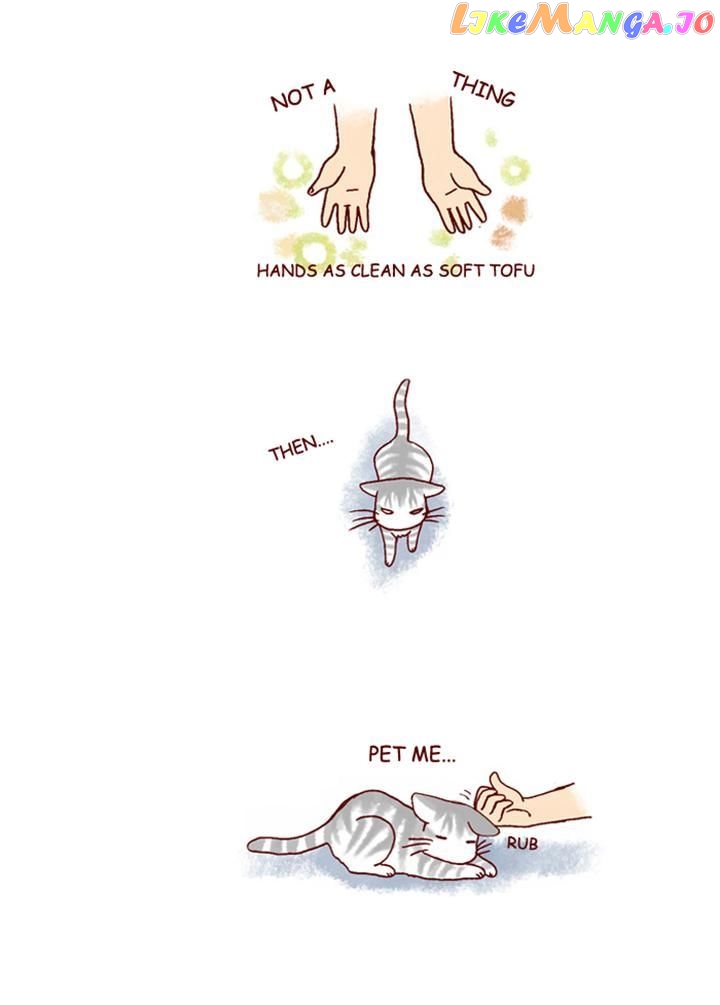My Young Cat And My Old Dog chapter 189 - page 6