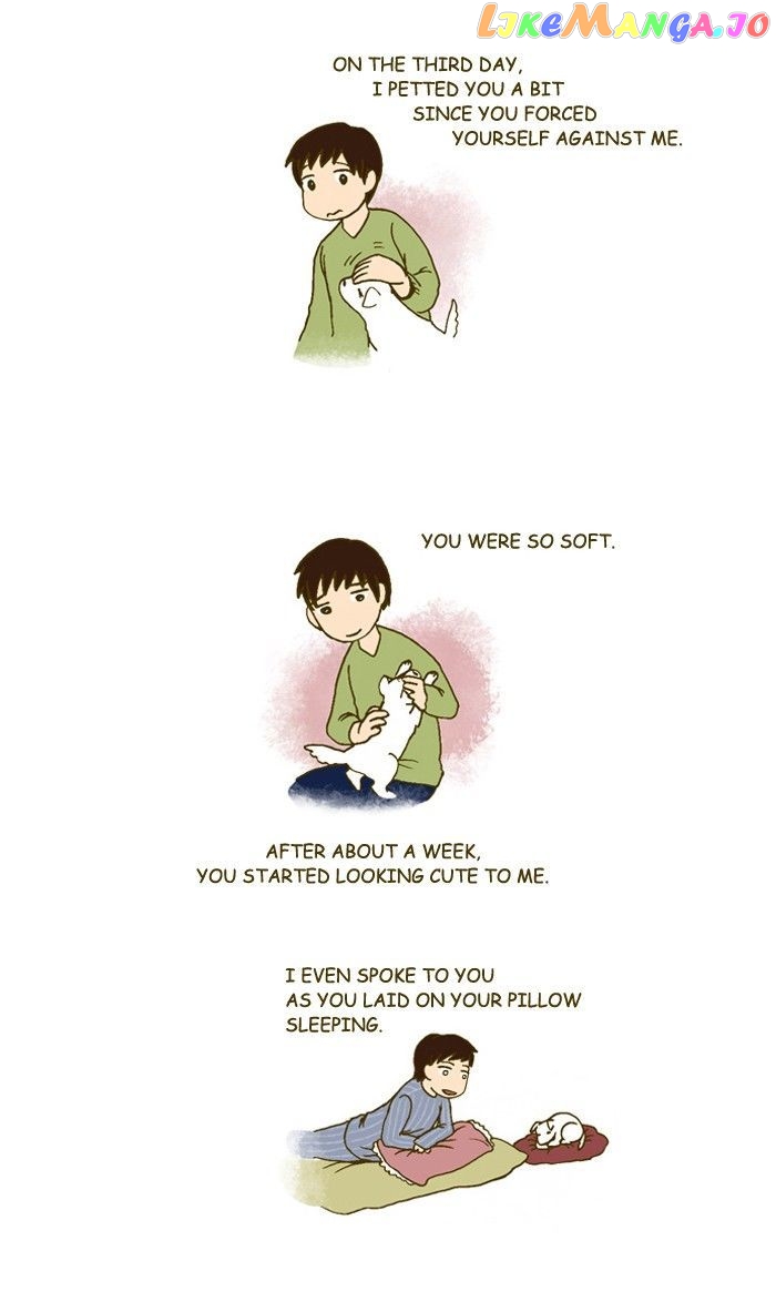 My Young Cat And My Old Dog chapter 193 - page 3