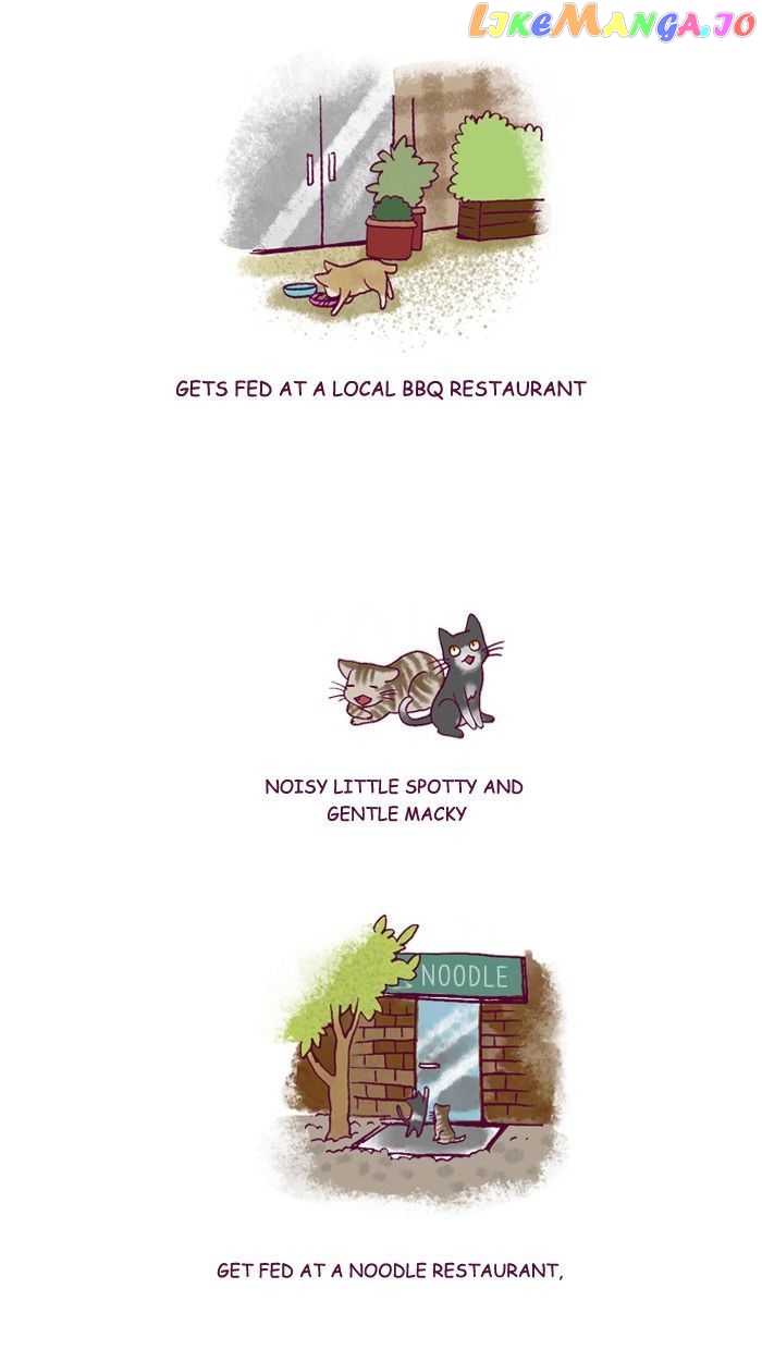 My Young Cat And My Old Dog chapter 197 - page 2