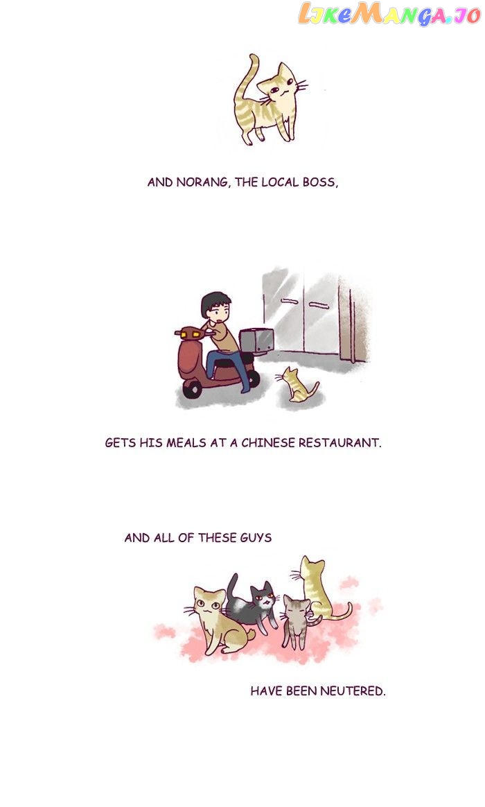 My Young Cat And My Old Dog chapter 197 - page 3