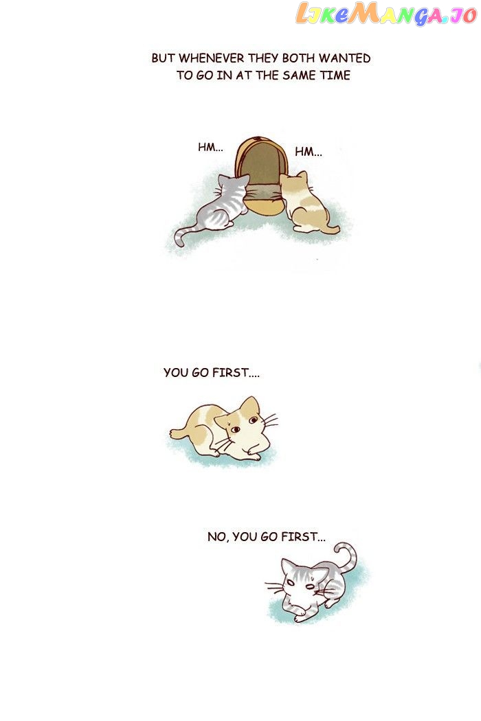 My Young Cat And My Old Dog chapter 198 - page 2