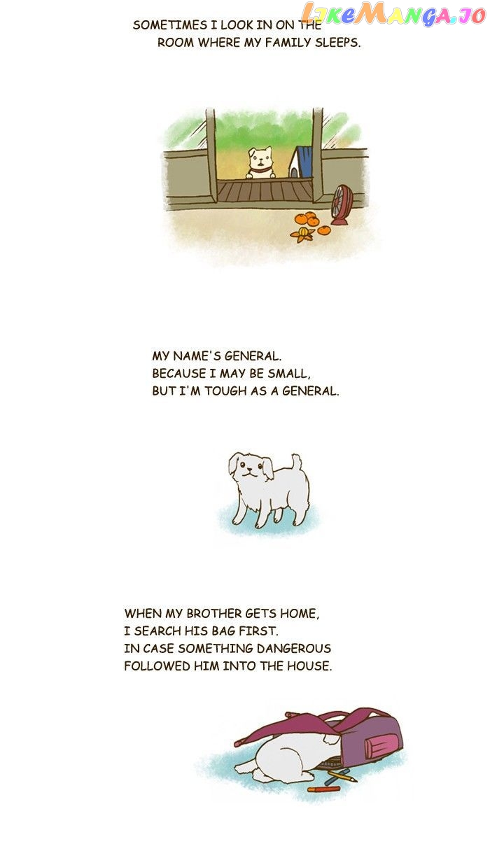 My Young Cat And My Old Dog chapter 201 - page 2