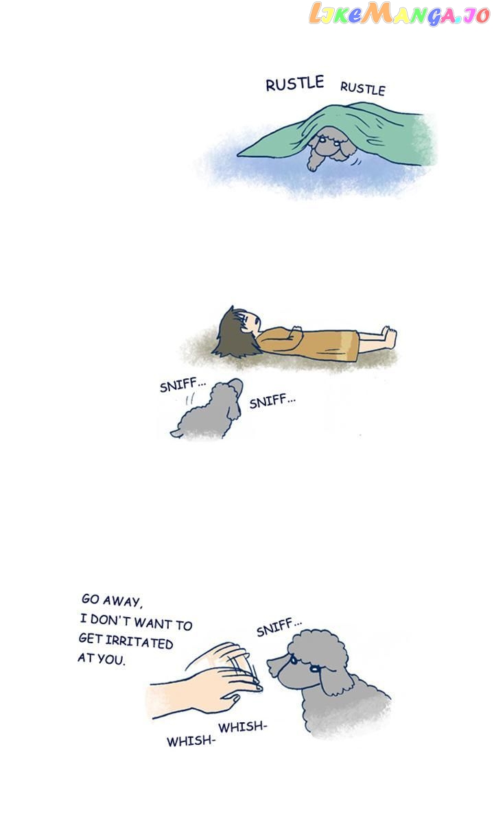 My Young Cat And My Old Dog chapter 208 - page 3