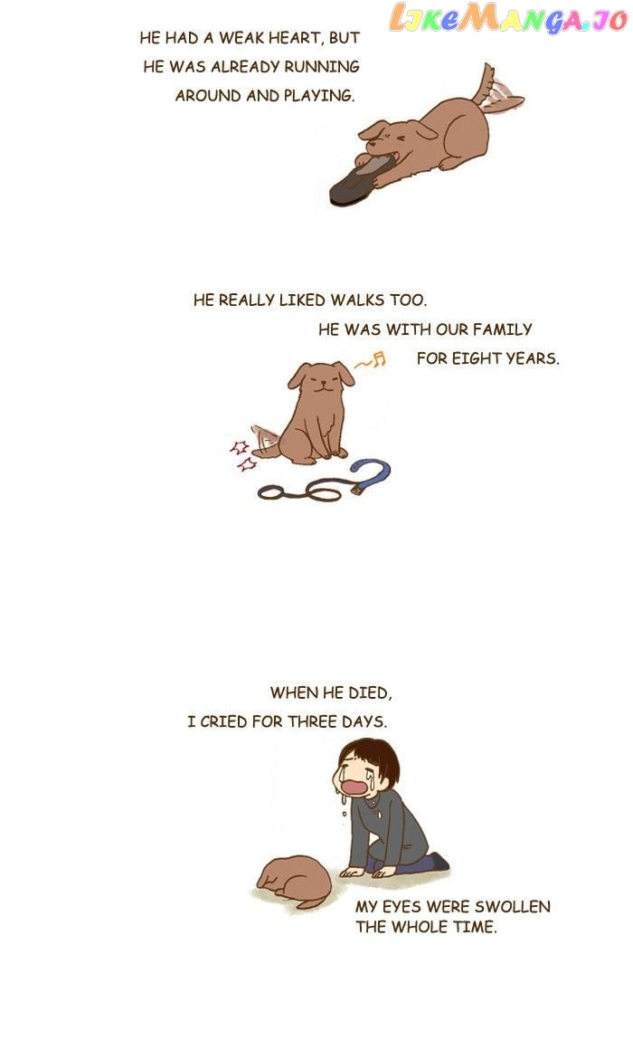 My Young Cat And My Old Dog chapter 209 - page 2