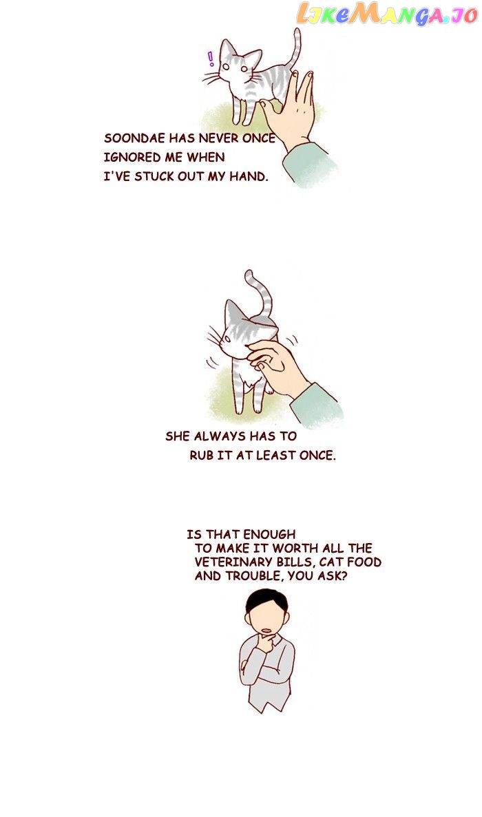 My Young Cat And My Old Dog chapter 210 - page 3
