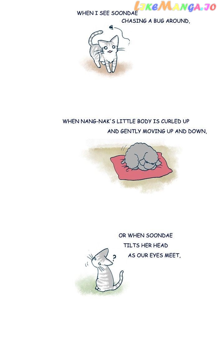My Young Cat And My Old Dog chapter 211 - page 2