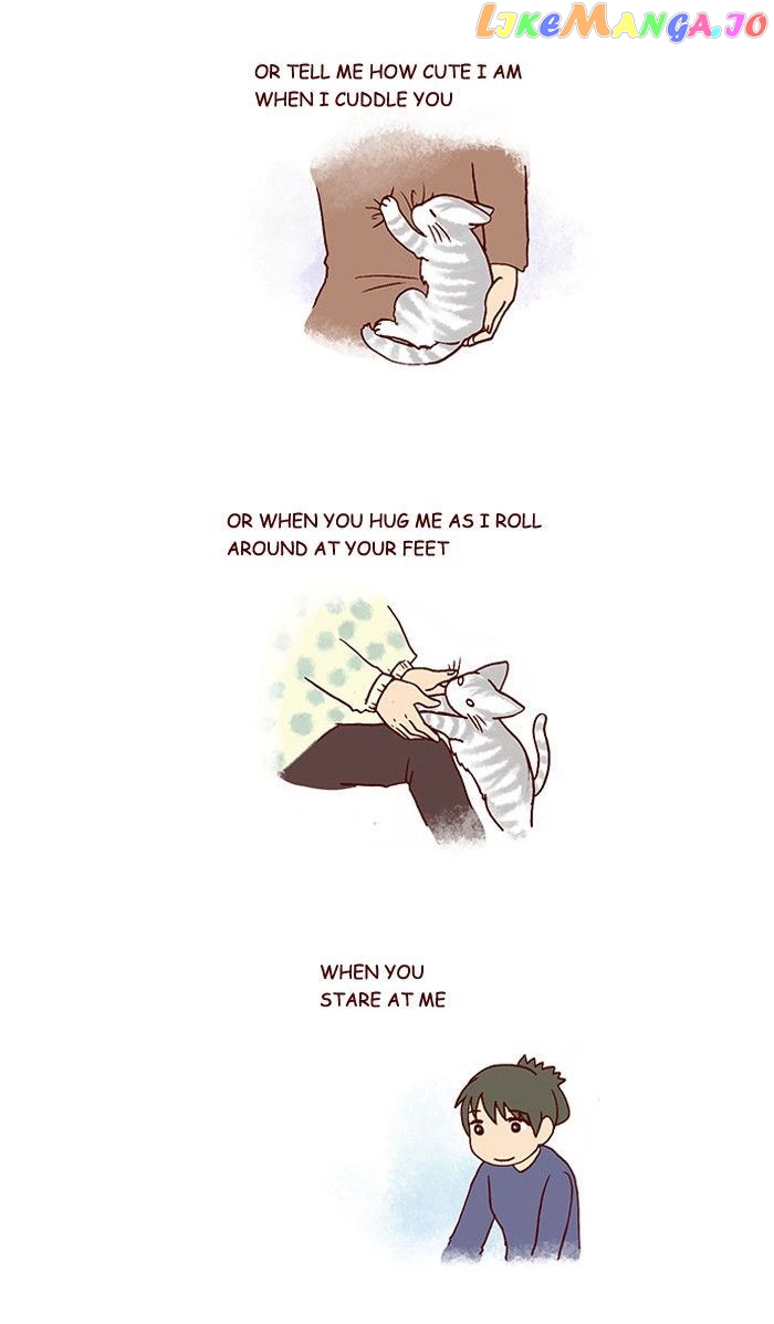 My Young Cat And My Old Dog chapter 212 - page 2