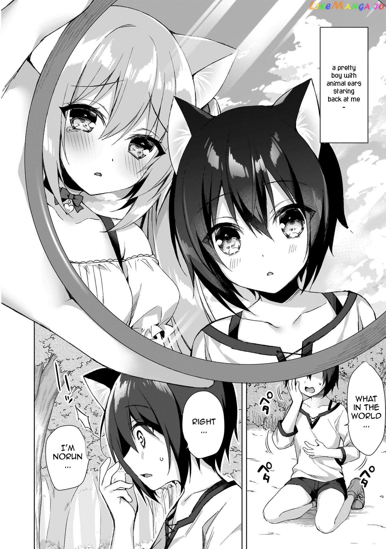 Boku No Risou No Isekai Seikatsu ~Tensei Shitara Kemomimi Musume Darake No Sekai De Harem Ni~ chapter 1 - page 13