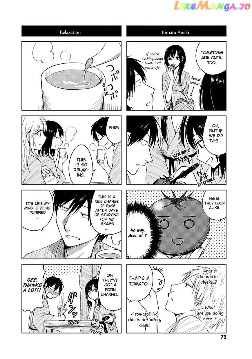 Hoozuki-san Chi no Aneki + Imouto chapter 11 - page 5