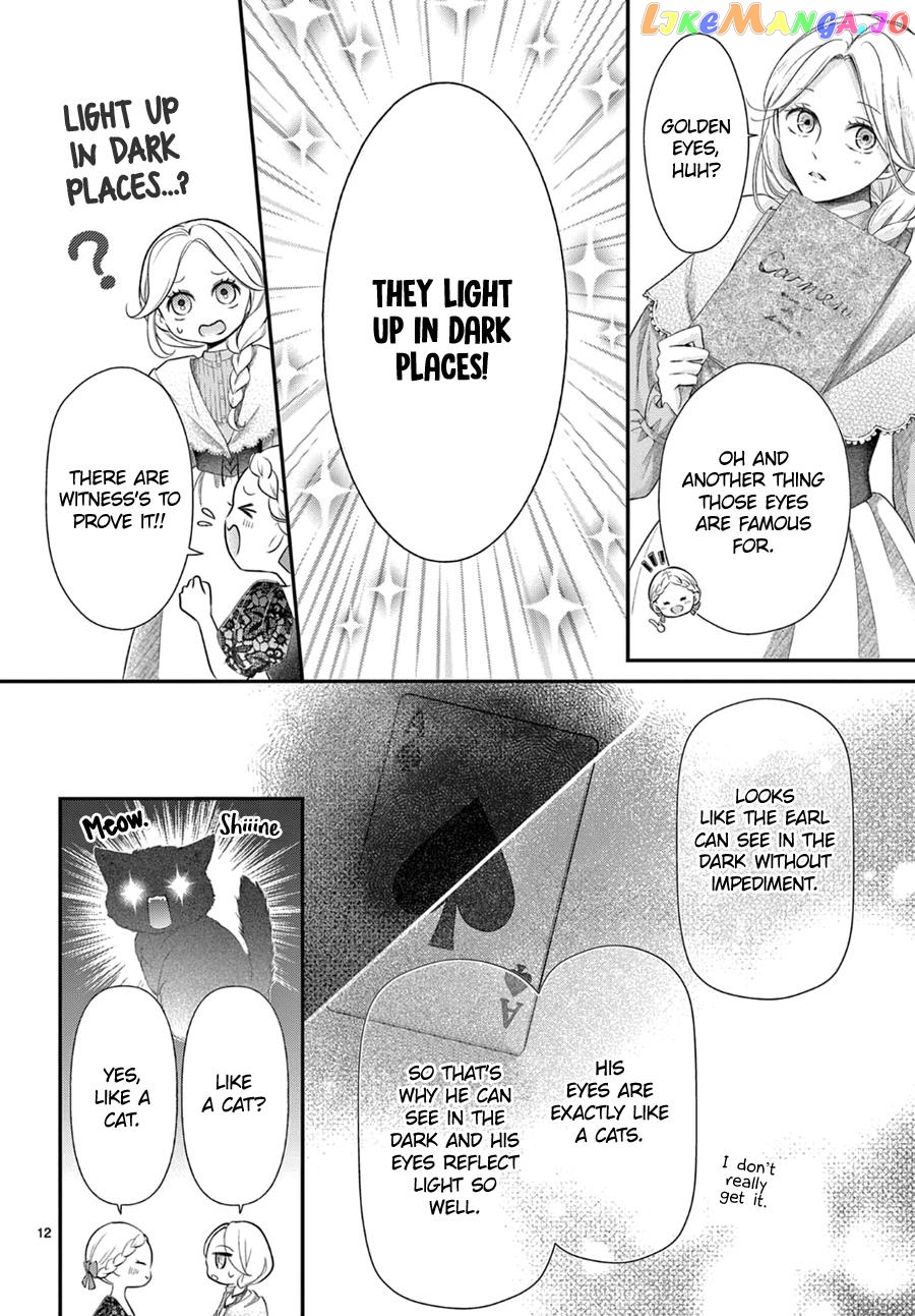 Shinai Naru F E - Opera-Za No Kaijin Chapter 5.2 - page 13