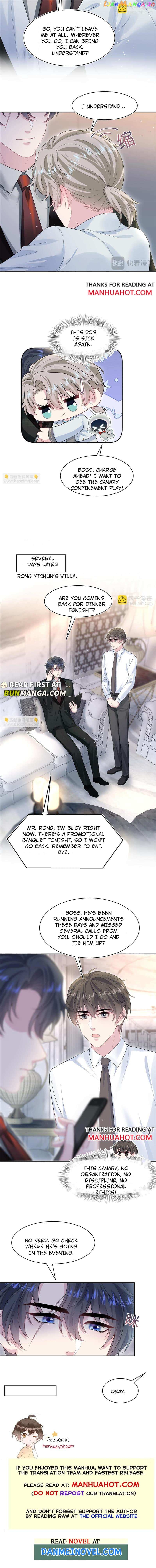 Brilliantly Beautiful White Lotus Teaching Online Chapter 273 - page 6