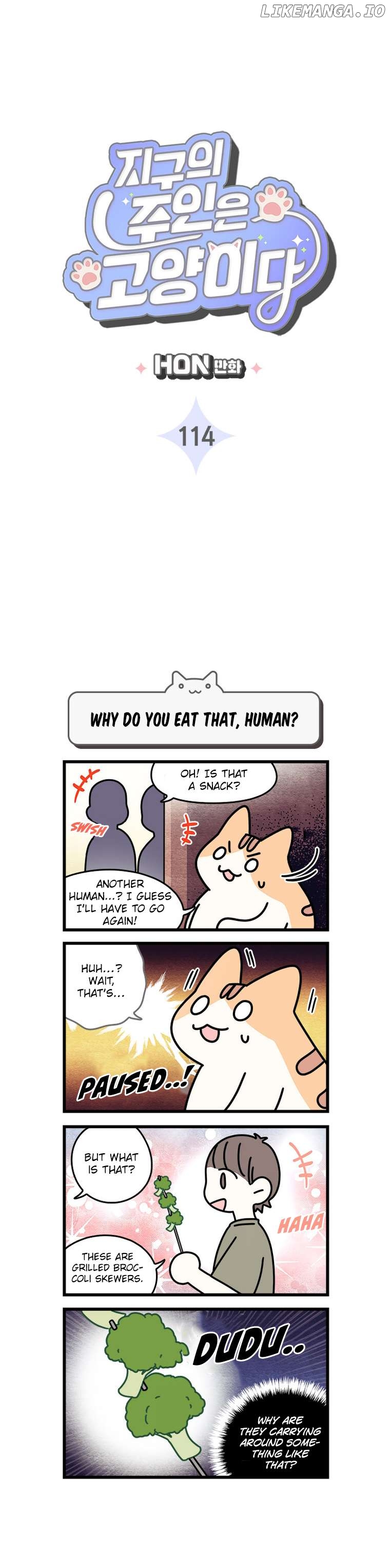 Cats Own The World Chapter 114 - page 3