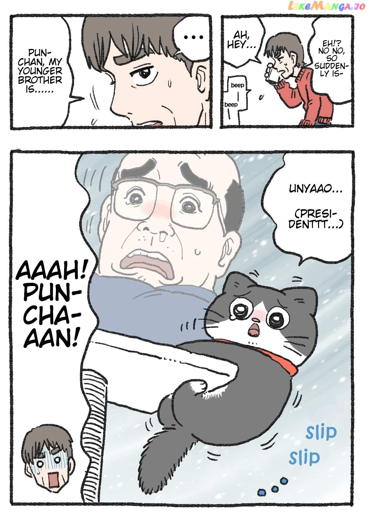The Old Man Who Was Reincarnated As A Cat Chapter 333 - page 2