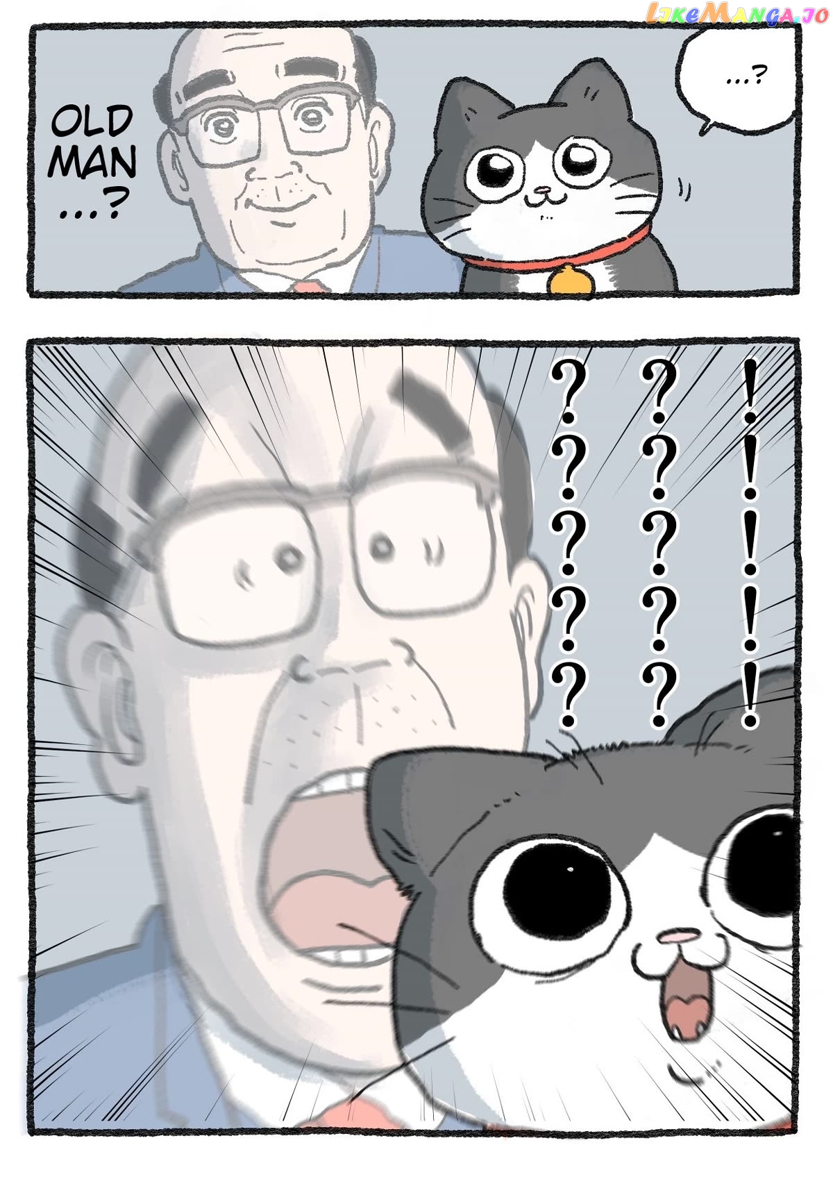 The Old Man Who Was Reincarnated As A Cat Chapter 335 - page 3