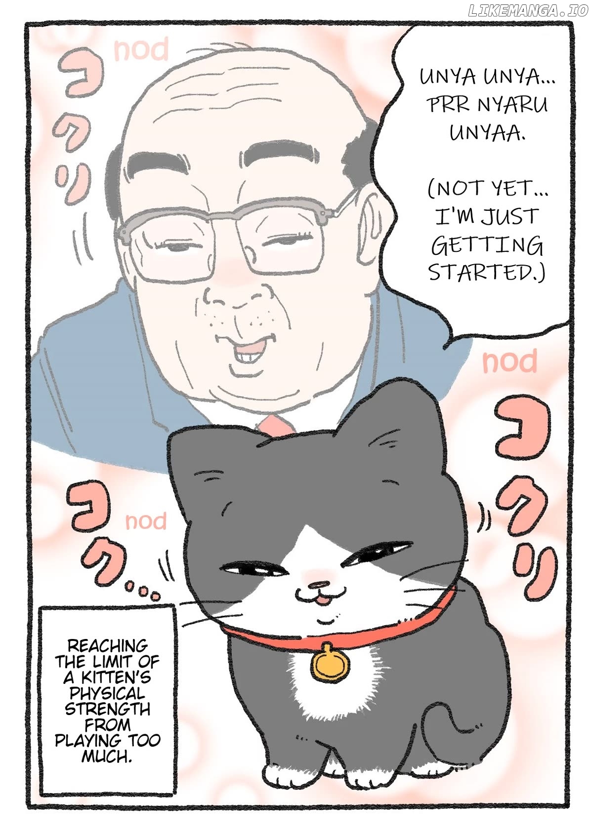 The Old Man Who Was Reincarnated As A Cat Chapter 341 - page 3